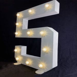 Number 5 Giant LED Number Light