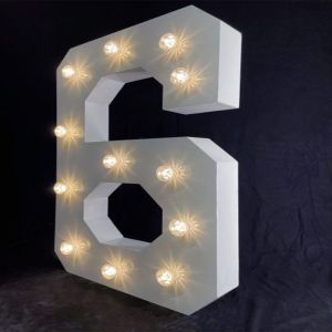 Number 6 Giant LED Number Light